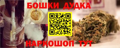 индика Аргун