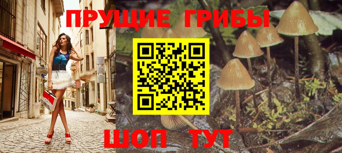 Галлюциногенные грибы Cubensis  Вход с VPN  Бор 