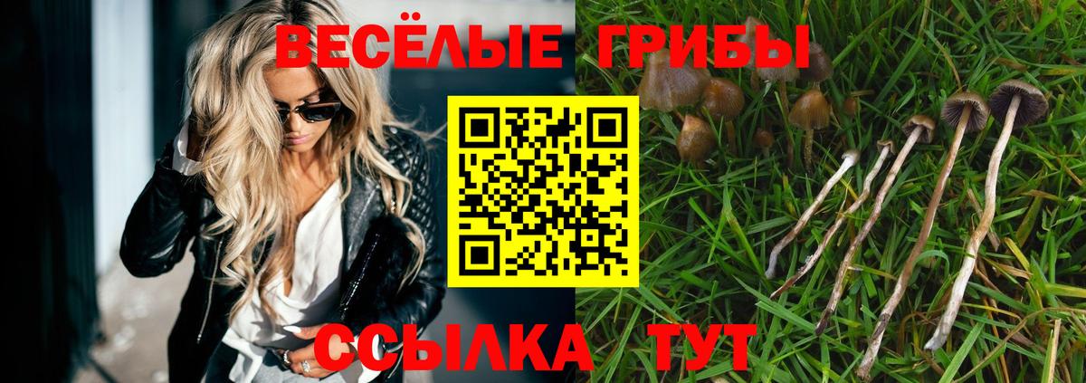 Галлюциногенные грибы Psilocybe Бор